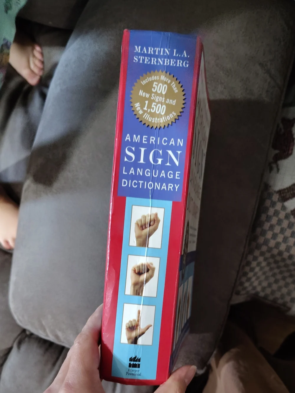 American Sign Language Dictionary By Sternberg 3rd Edition 1998